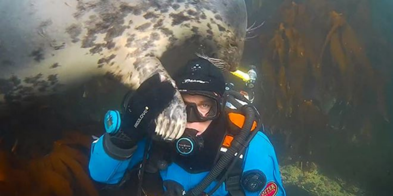 rencontre plongeuse