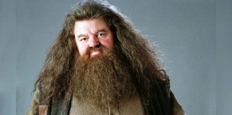 Harry Potter : Robbie Coltrane, L'acteur Qui Incarnait Hagrid, Est Mort ...